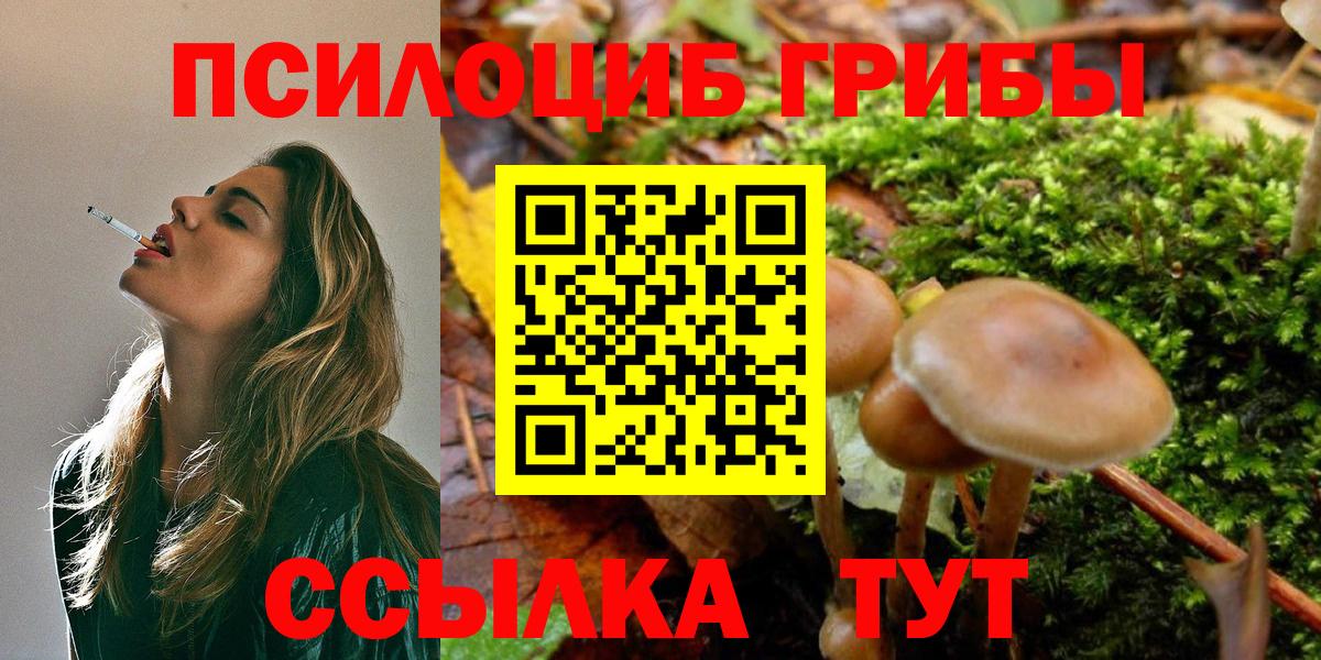 Ликино-Дулёво  Псилоцибиновые грибы мицелий  Вход с VPN 
